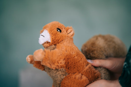 Ekorren, återvunnet material