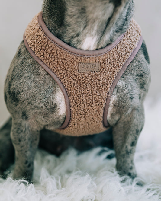 Teddy Step-In sele - för små hundar