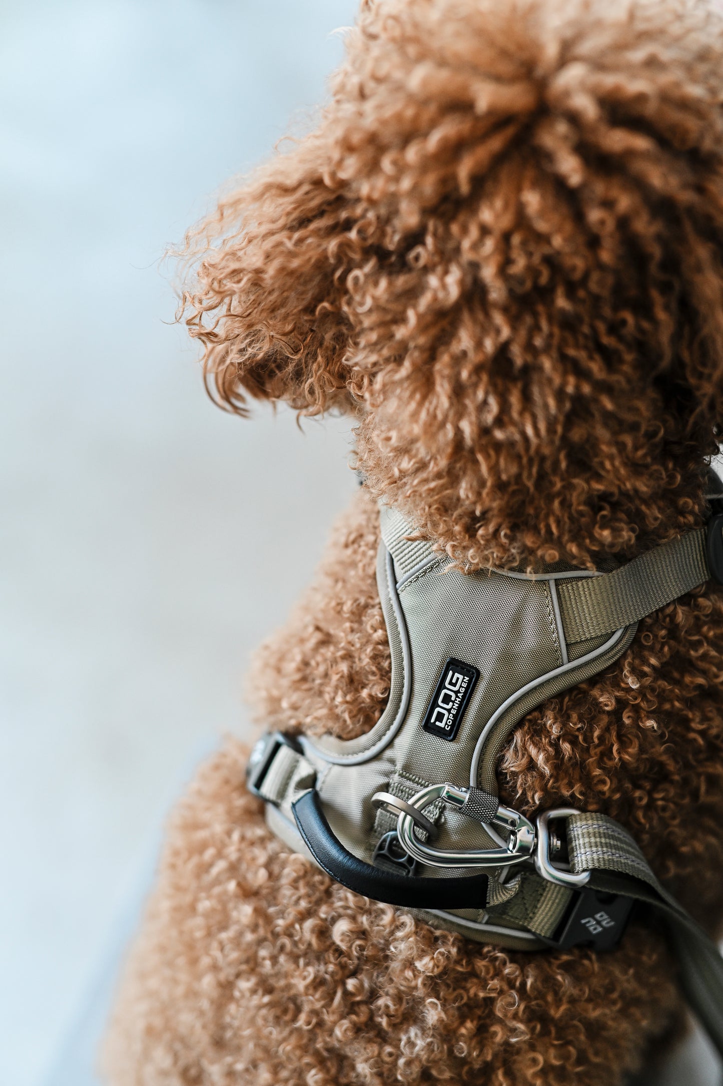 Comfort Walk Pro Sele - Dog Copenhagen