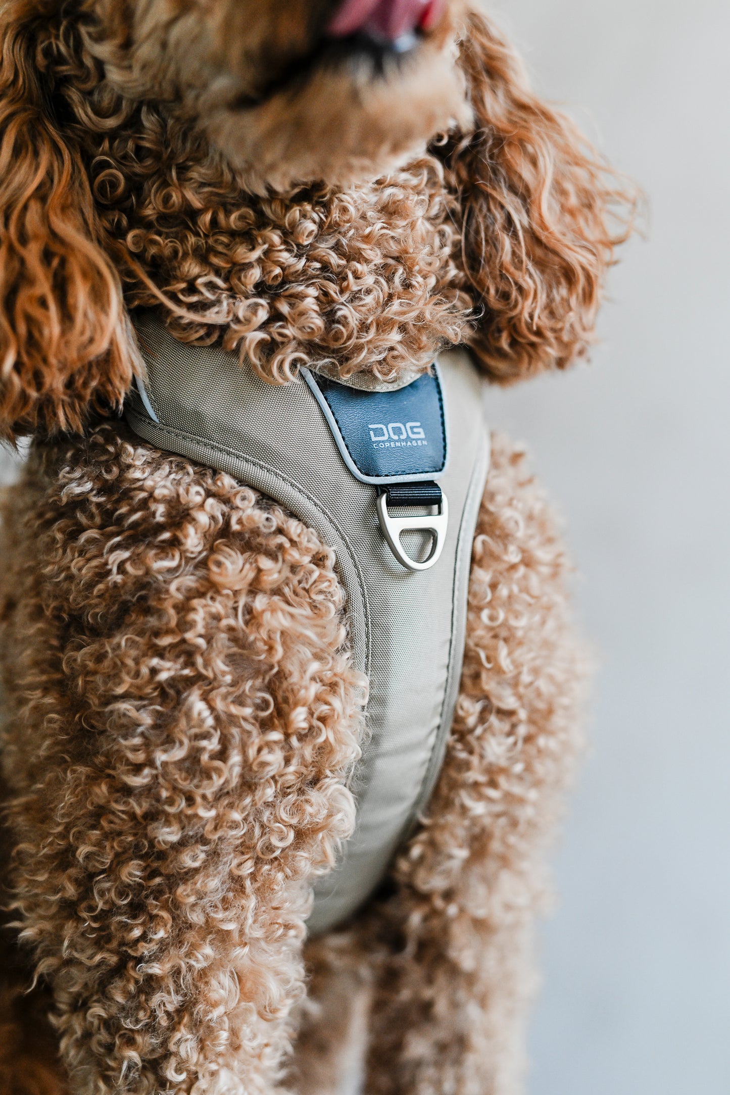 Comfort Walk Pro Sele - Dog Copenhagen