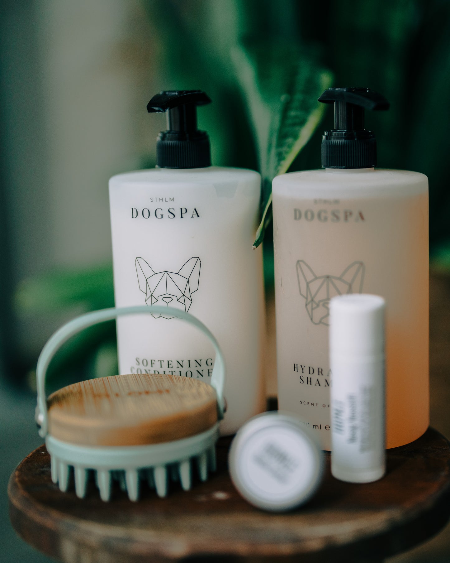 LyxSpa Kit för Hund