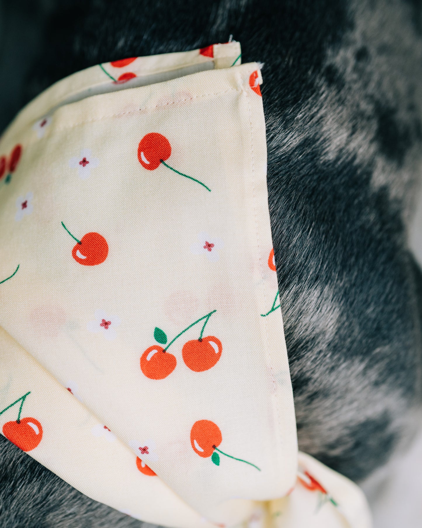 Hundscarf Österlen – Körsbärsmönster
