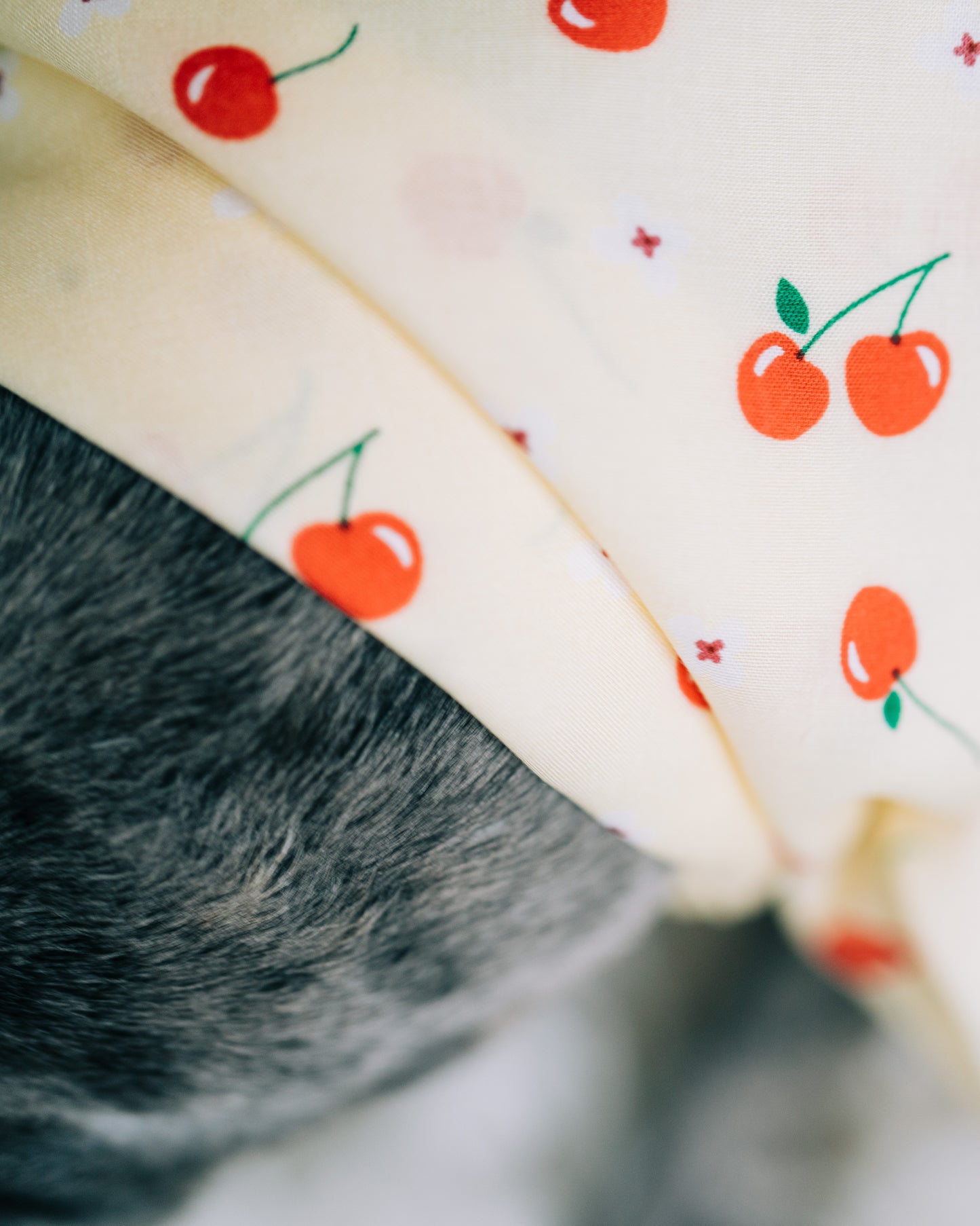 Hundscarf Österlen – Körsbärsmönster