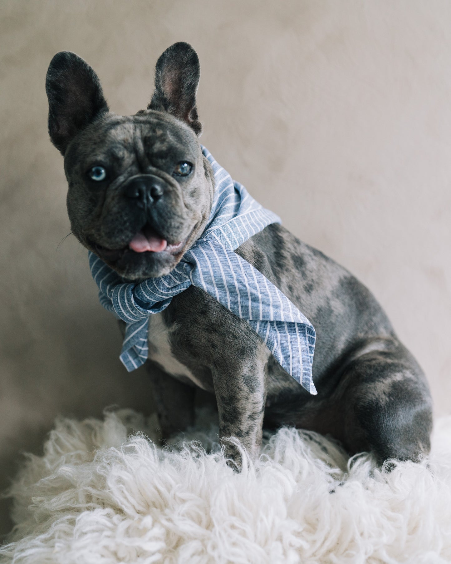 Hundscarf Österlen – Blå och Vitrandig Marin Stil