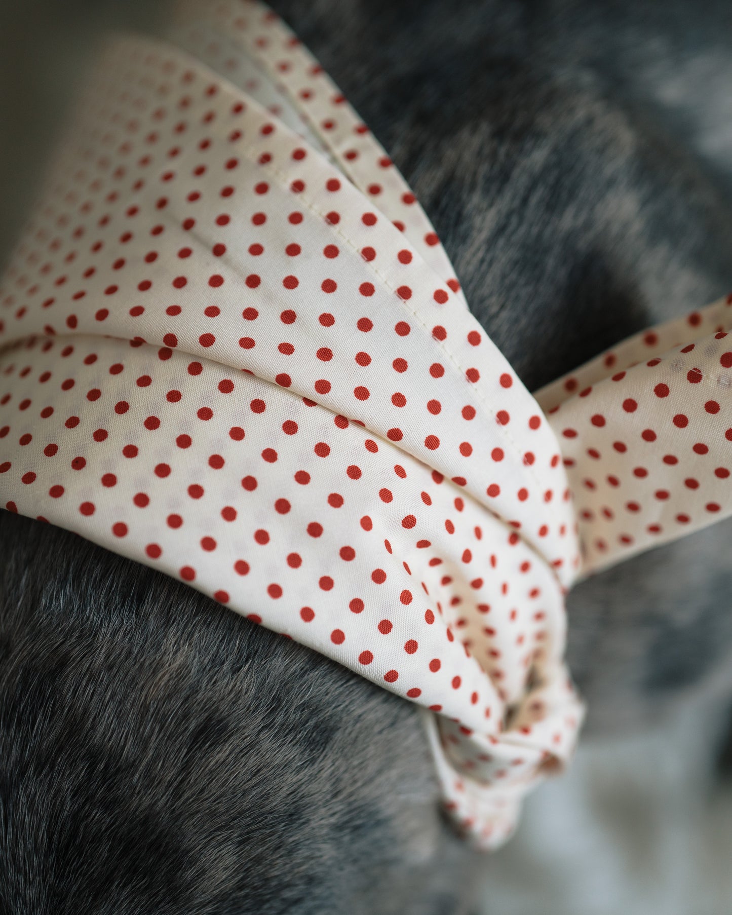 Hundscarf Österlen - Beige med Röda Prickar