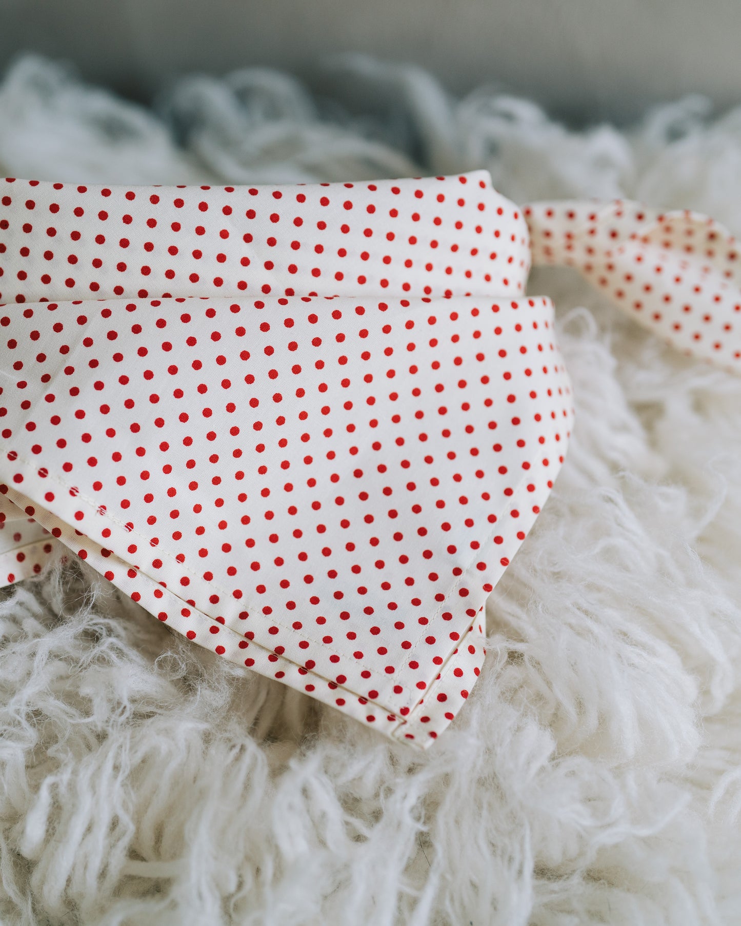 Hundscarf Österlen - Beige med Röda Prickar