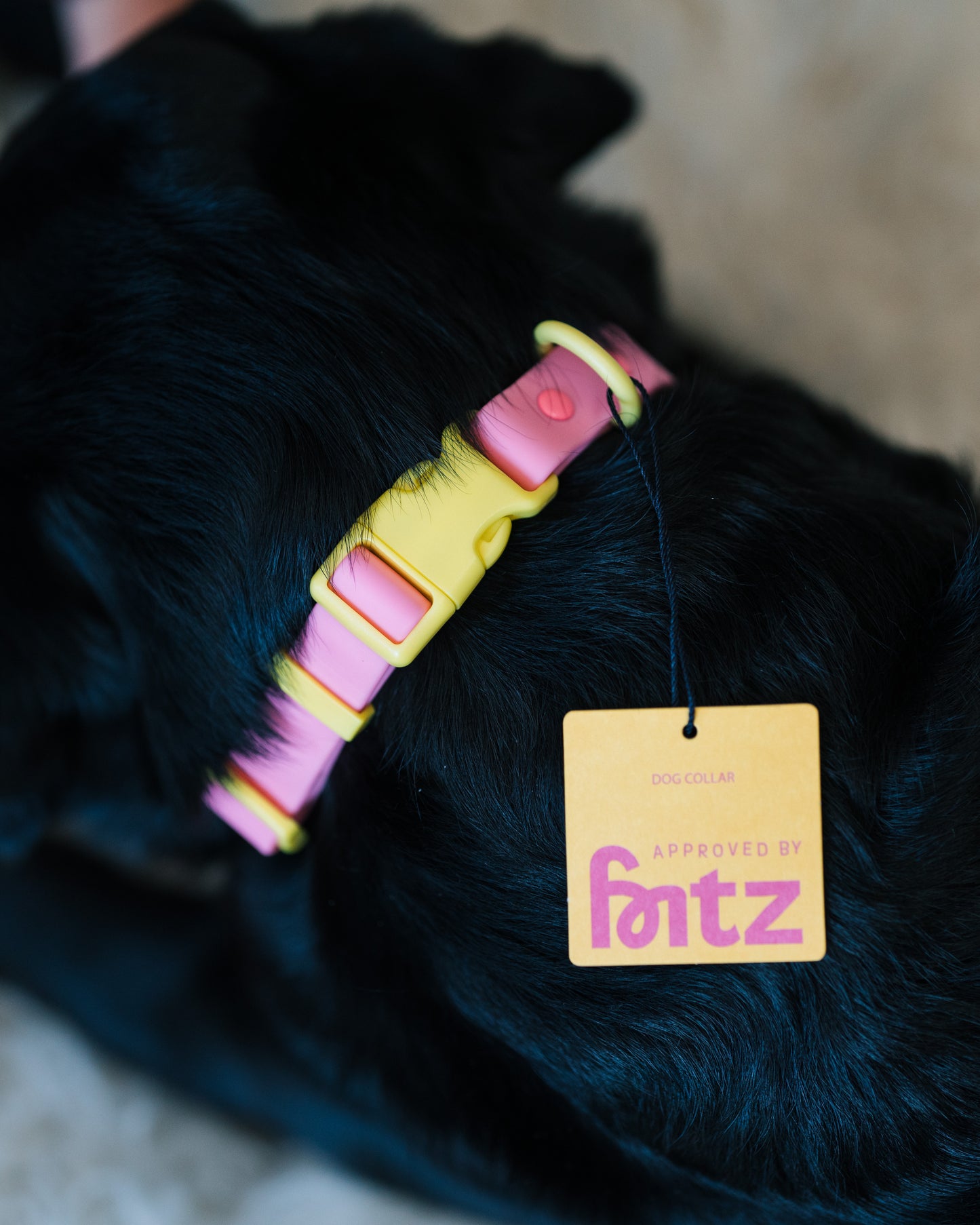 Fritz halsband M
