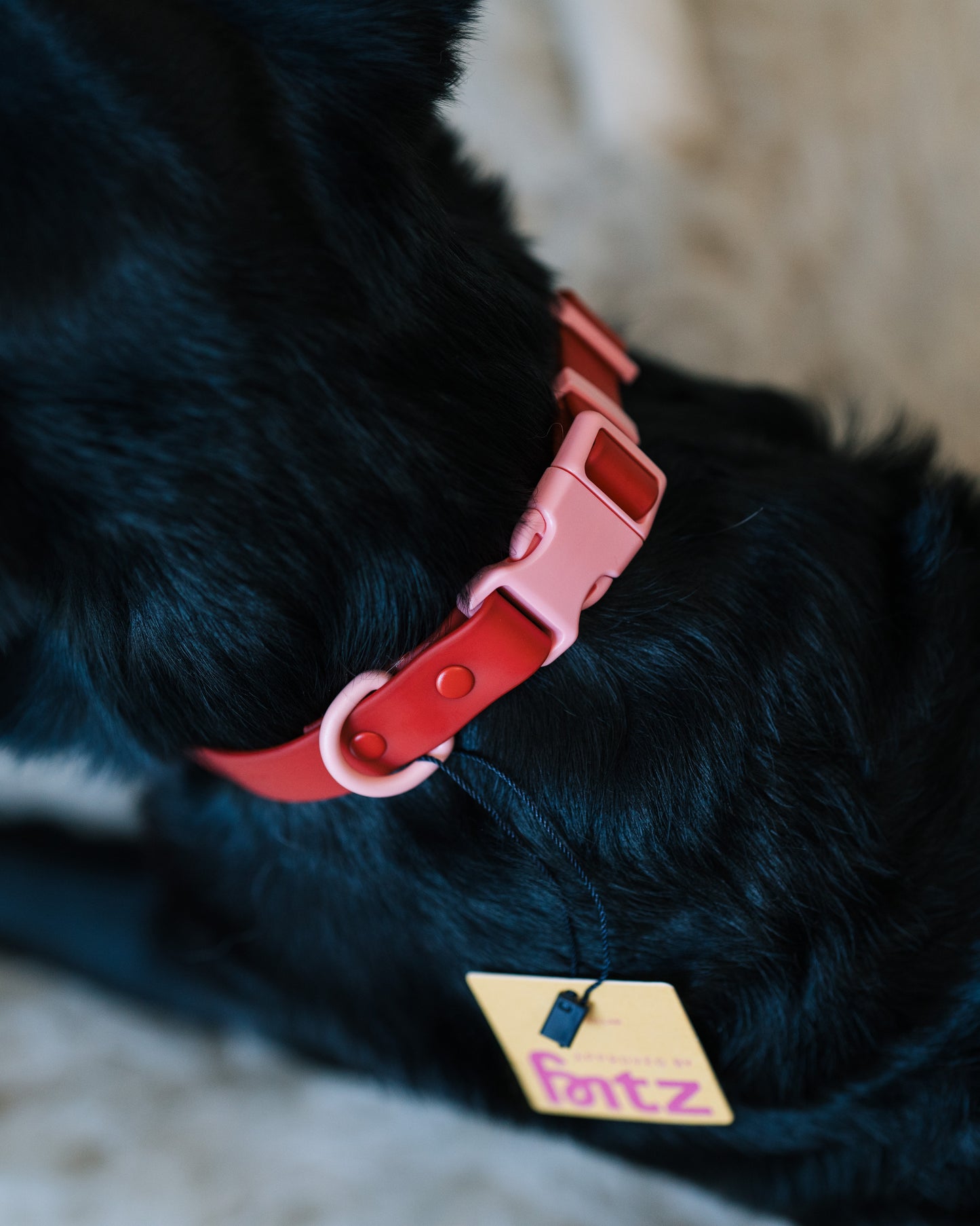 Fritz halsband M