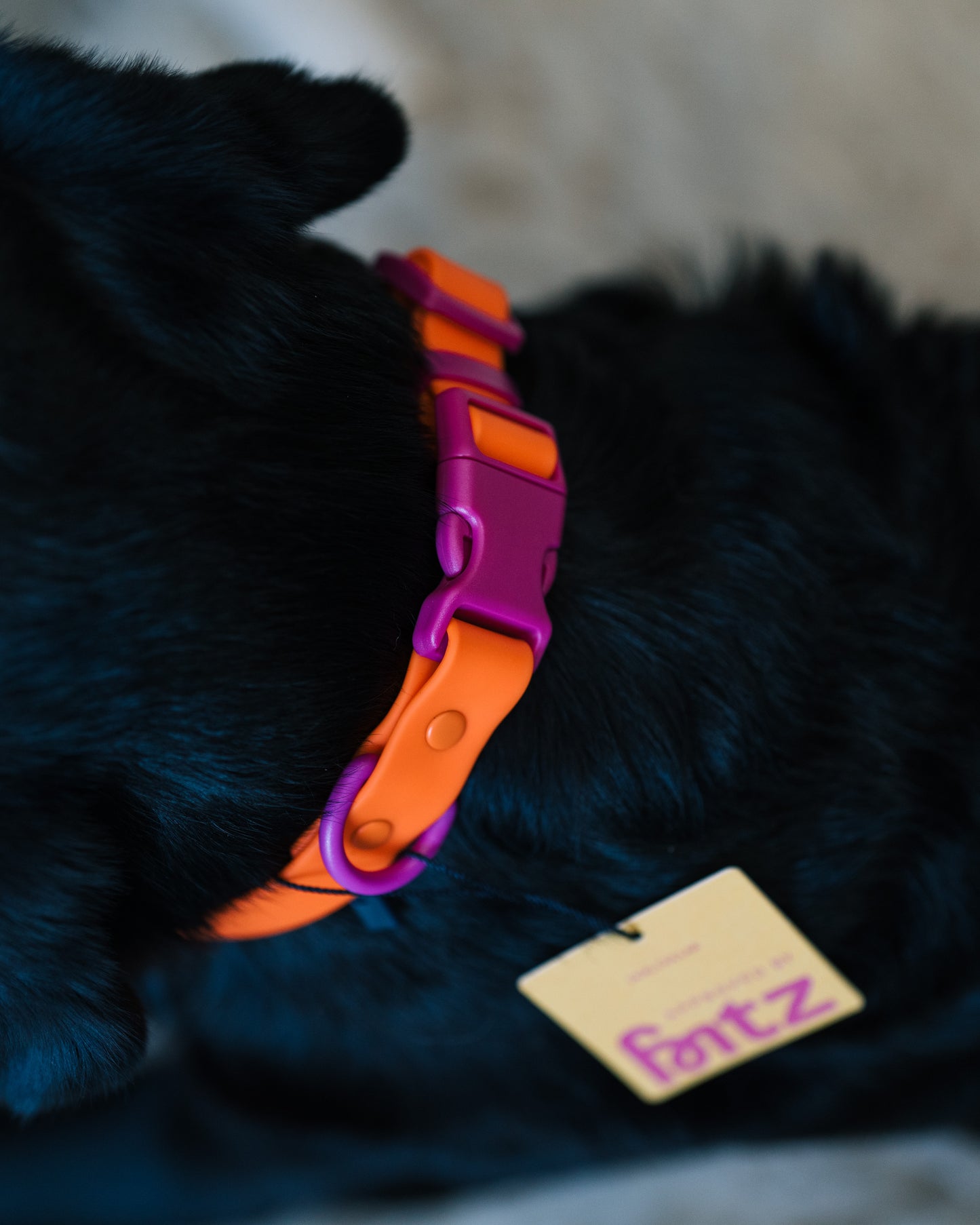 Fritz halsband M