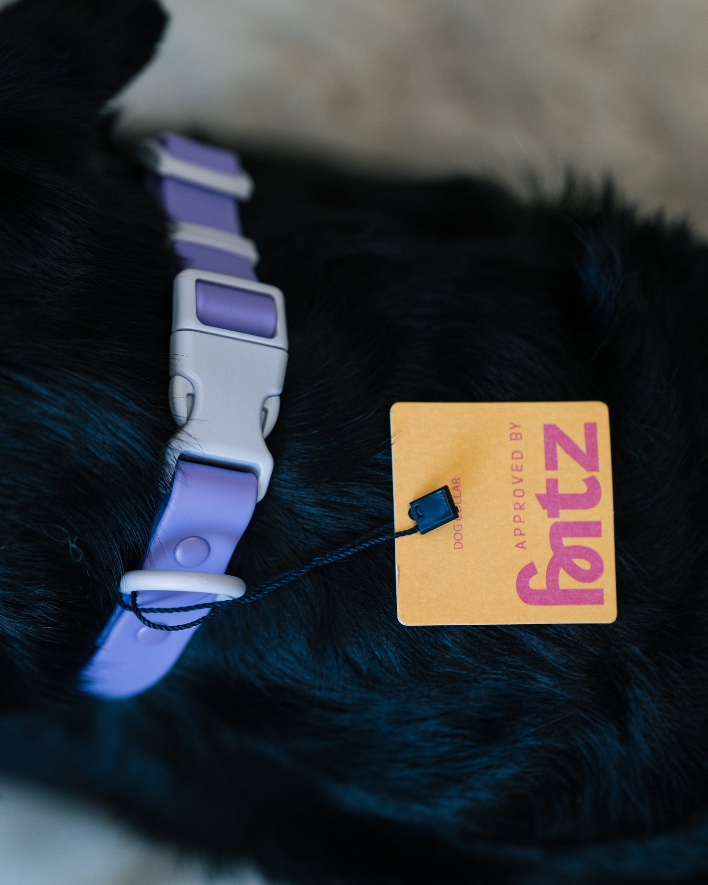 Fritz halsband M