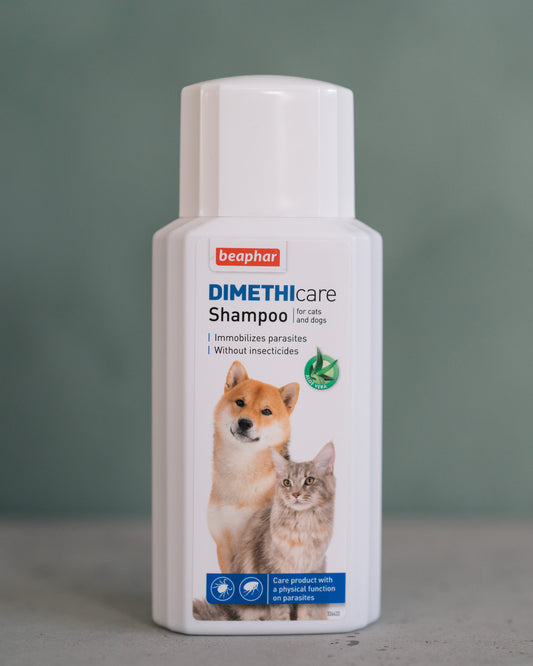Fästing Shampoo