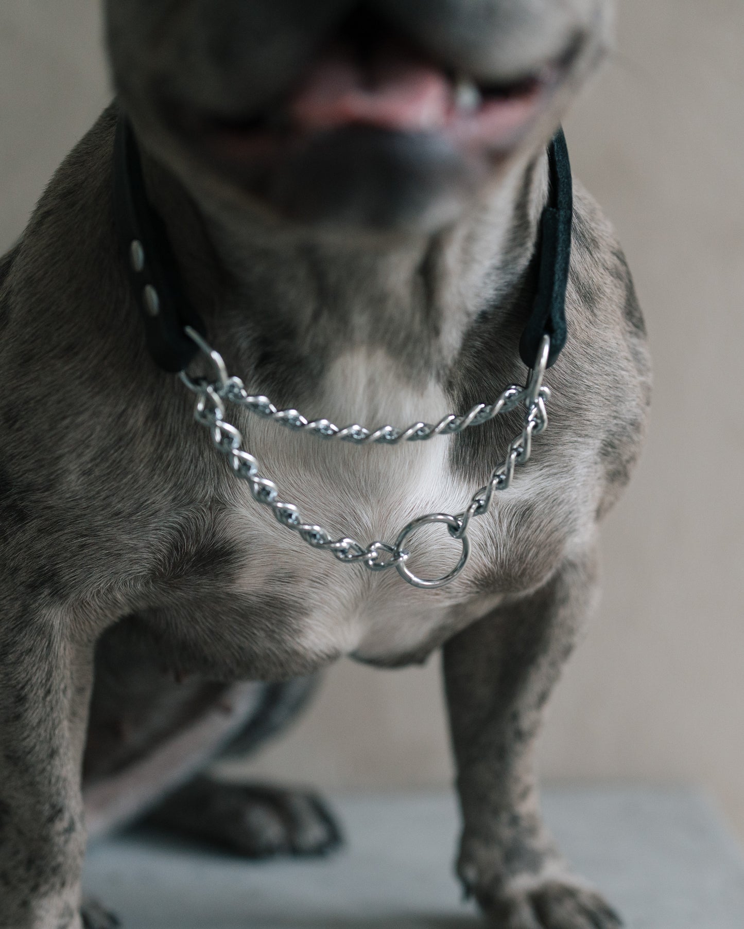 Råläderhalsband halvstryp
