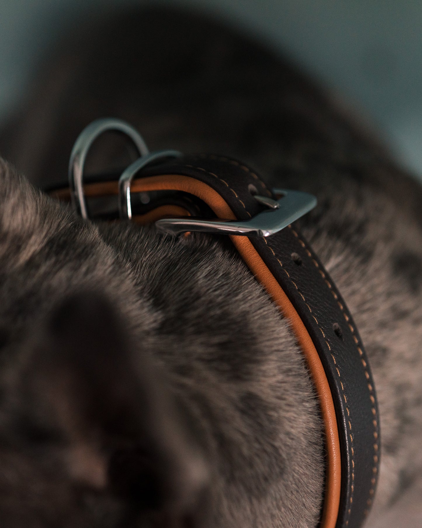 Brunt läderhalsband