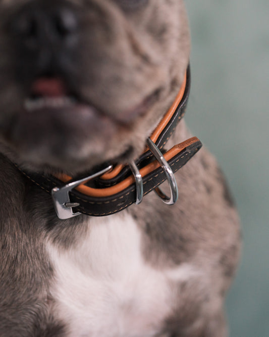 Brunt läderhalsband