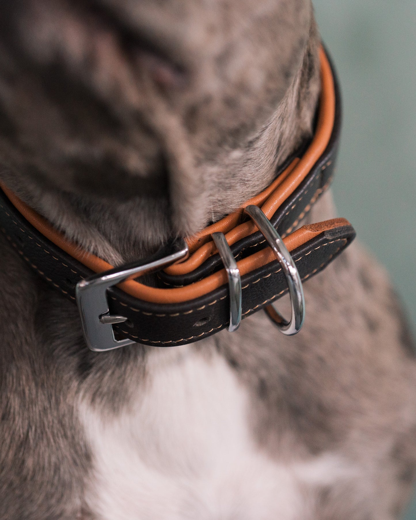 Brunt läderhalsband