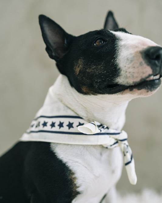 HAY Scarf - Återvunnet material