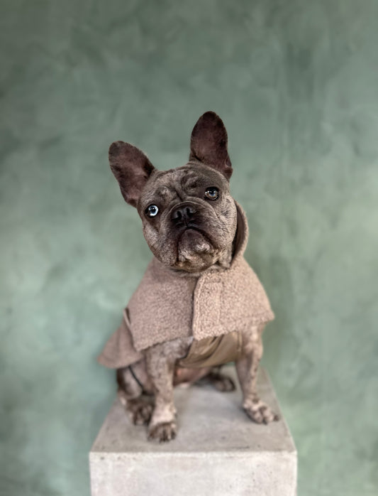 Teddy Hundjacka