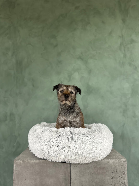 Trixie hundbädd - Harvey cirkel