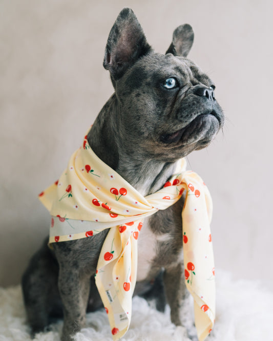 Hundscarf Österlen – Körsbärsmönster