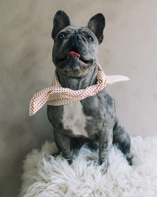 Hundscarf Österlen - Beige med Röda Prickar