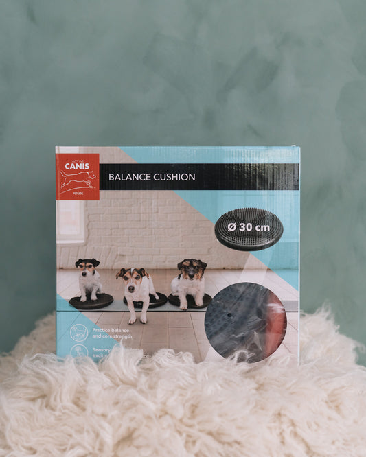 Balansplatta - Stability Wobble Cushion
