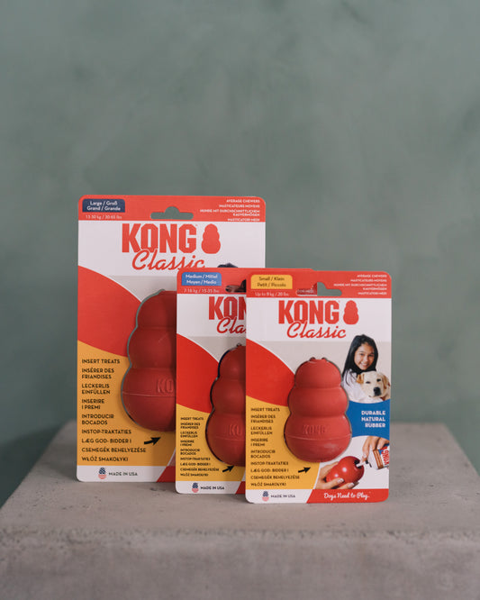 KONG classic