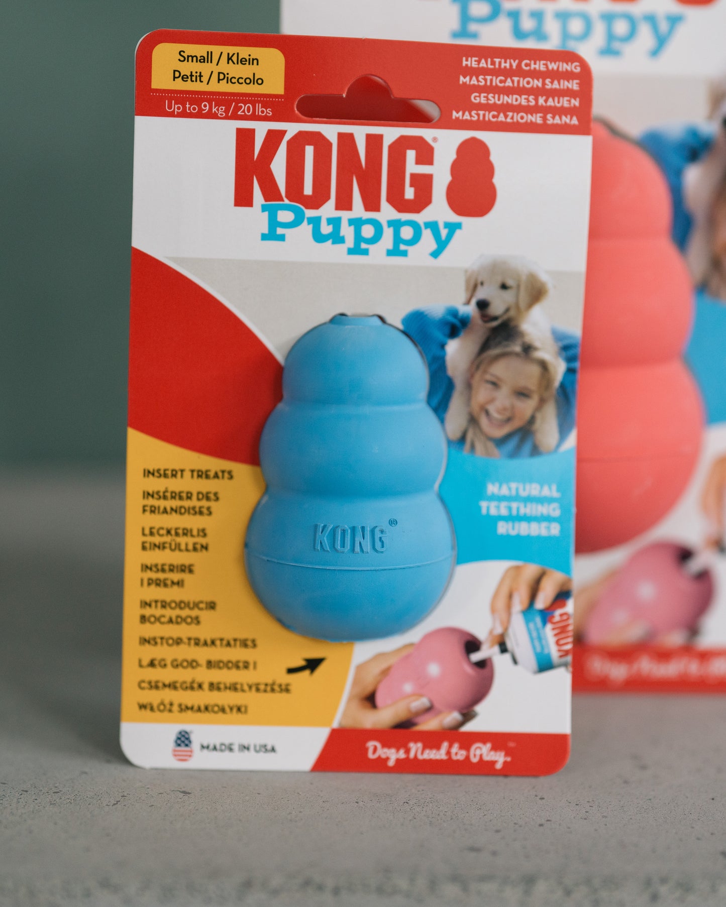 KONG Puppy