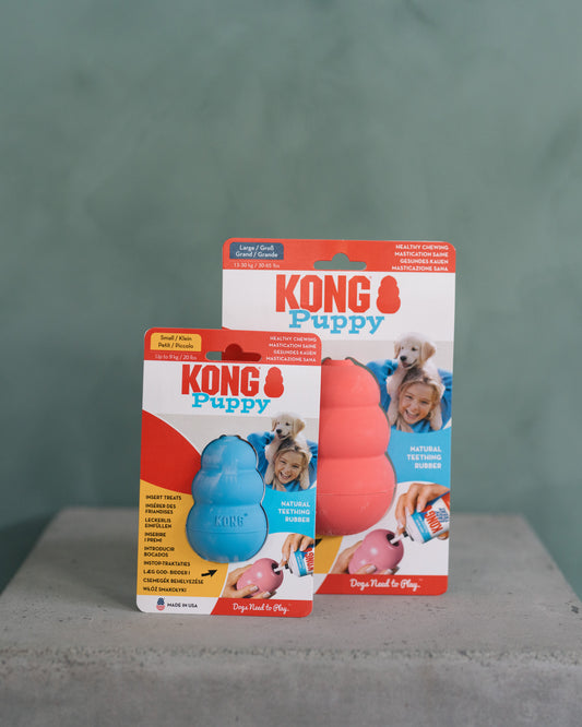 KONG Puppy