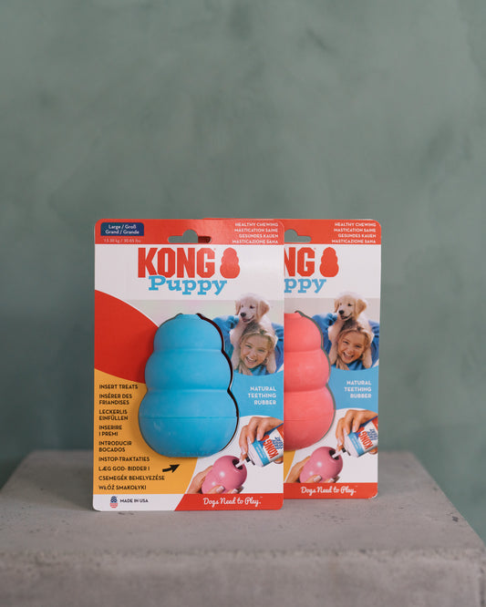 KONG Puppy