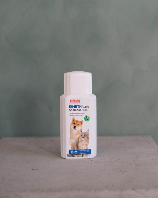 Fästing Shampoo