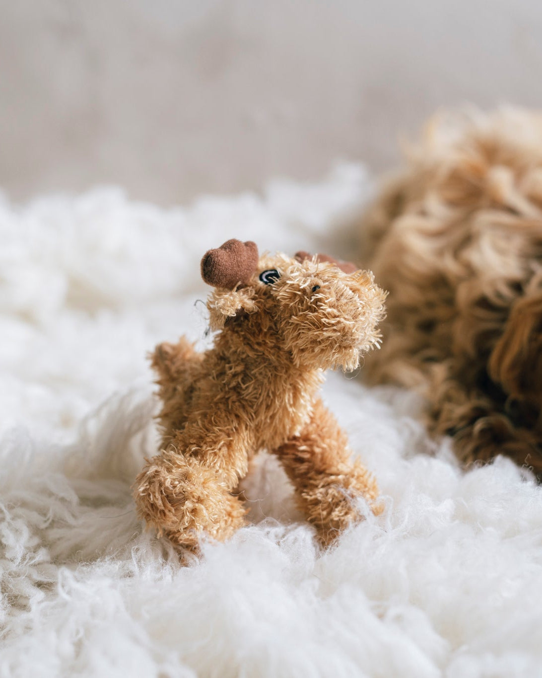 ÄLG hundleksak
