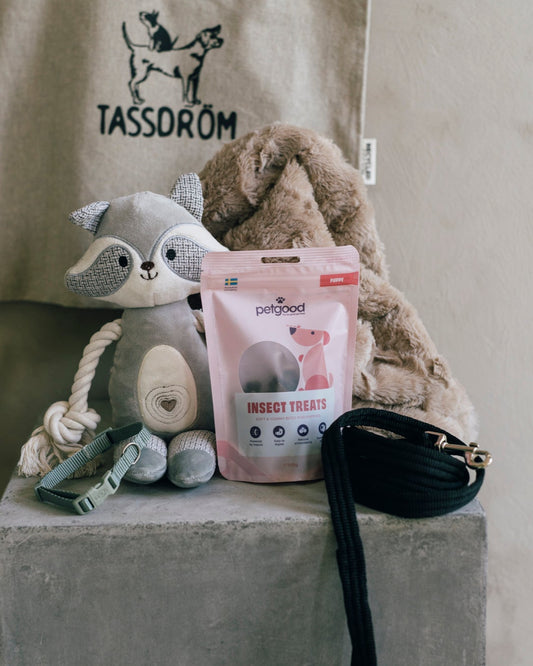 TassDröms Valpkit