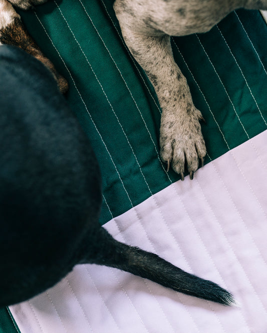 HAY - Hundfilt